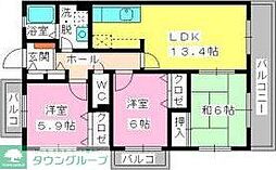 プリマヴェーラ 101