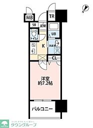 サヴォイ　テンジンスクワイヤー
