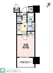 サヴォイ　テンジンスクワイヤー