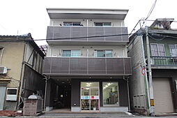 サンセベリア幸 201