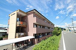 Crest Tenma