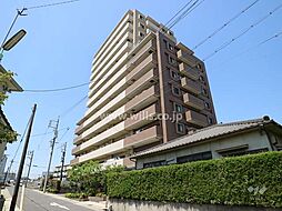 プライムメイツ社台