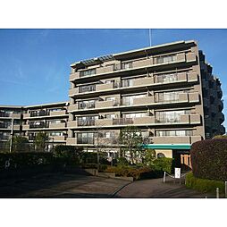 コスモ横浜常盤台公園 502