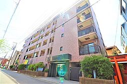 ウィステリア 503