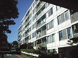 東寺尾ハイツA棟 A503