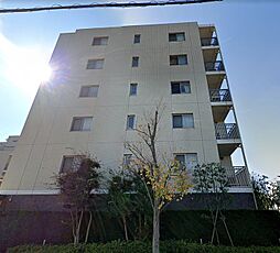 ザ・パークハウス横浜大口 D　519