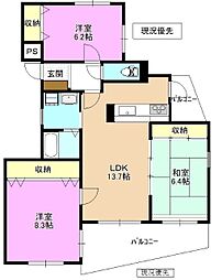 メイデンヘアー・Ａ