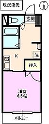 ピュア37