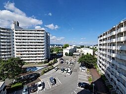 鏡川コーポA棟 11F