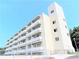 ビレッジハウス上乃木2号棟 0306