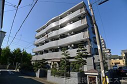 スターシャインミズホ