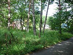 売土地　上ケ屋