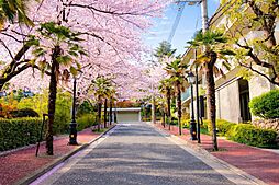 宝塚市雲雀丘２丁目　１区画