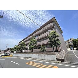 エミナンス　ドゥ　ファミーユ　A 206