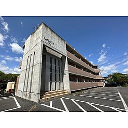 レナジア水戸 303