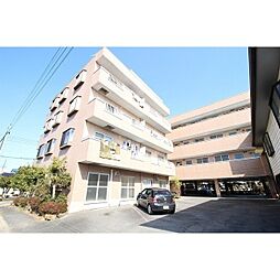 シティコート浜田 207