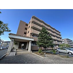 キャトルセゾン・ソレイユ 501