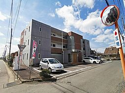 サンマーベラス 206