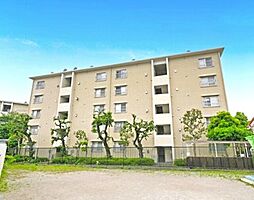 中野島住宅4号棟 503