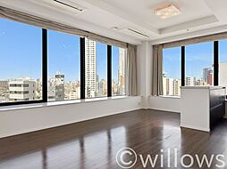 ザ・ヒルトップタワー高輪台