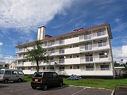 ツインクル春光AB B11