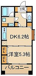 グレイスコート志村三丁目 307