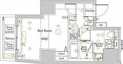 ラフィスタ板橋区役所前 503