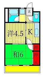 グレイスヤマダ