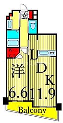 マーシスマルル