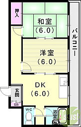 コーズハクシュン