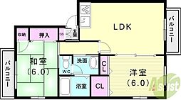 ラピート6X