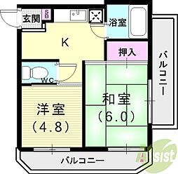 ビーフェリス