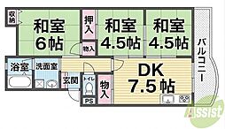 パールハイツ