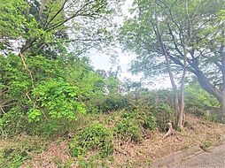 袖ケ浦市野里 条件なし売地 全1区画