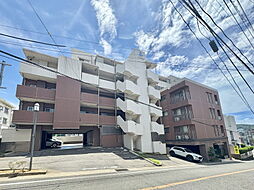 アルファステイツ本原