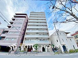 ミオカステーロ入谷