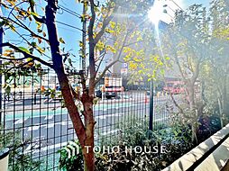 ディナ・スカーラ船堀