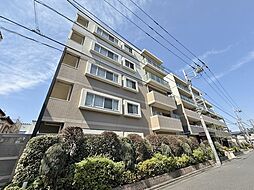 グローベルガーデン新小岩親水公園