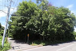 穂高有明　売土地