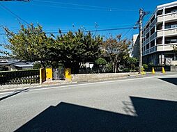 菊池郡大津町引水　売地（建築条件なし）