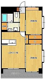 ピースグレース