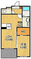 FIRST STEP KITAIZUMI