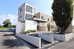 グレイスコート一番館 101