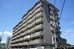 シャトレ天拝 702