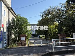 グリーンハウス 305