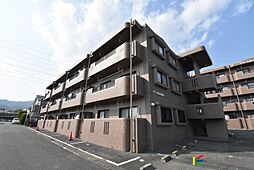 グラース蔵上参番館 203