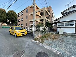 アルファルファA 306