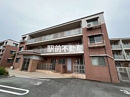 ラフィーネ（ラベンダー） 101