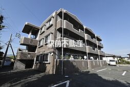 エバーグリーン 202