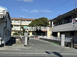 セントサーII 505